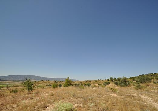 Land in Pinoso