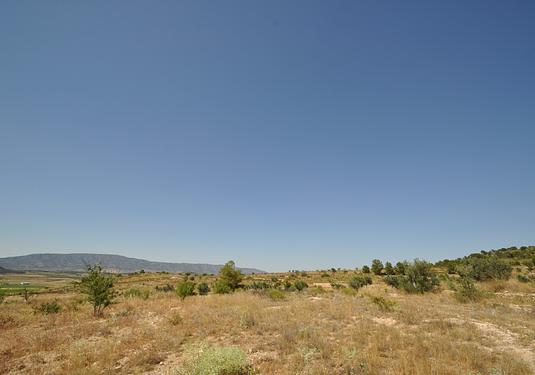 Land in Pinoso