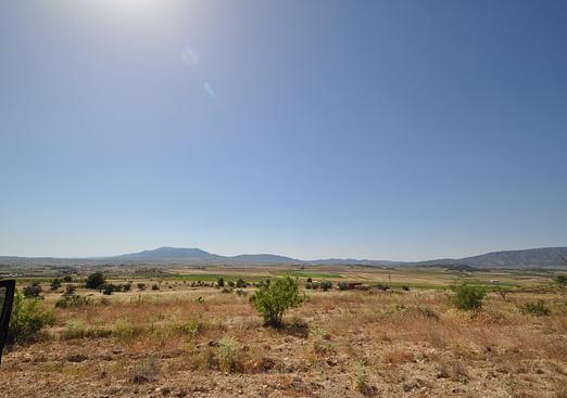 Land in Pinoso