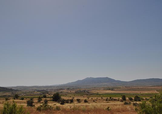 Land in Pinoso