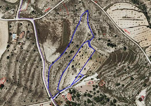 Land in Pinoso