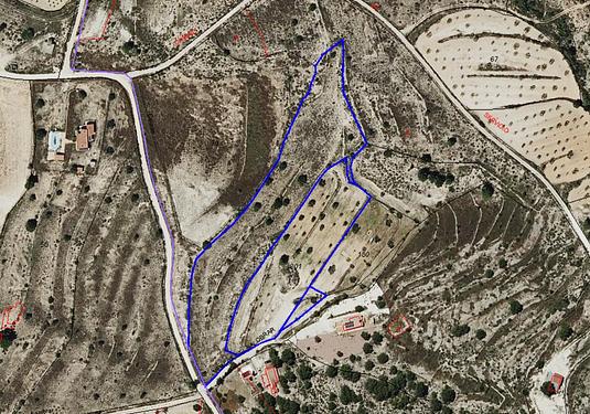 Land in Pinoso