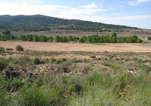 Land in Monóvar/Monóver