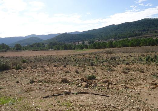 Land in Monóvar/Monóver