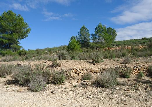 Land in Monóvar/Monóver