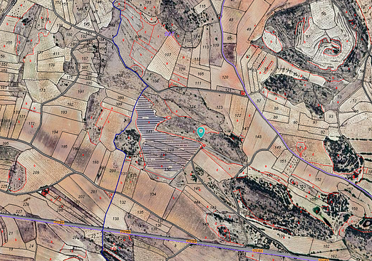 Land in Monóvar/Monóver