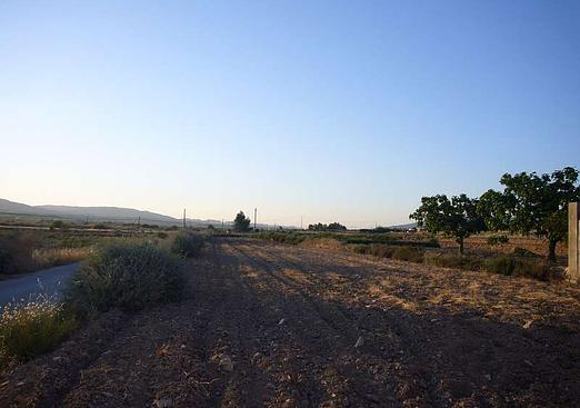 Other in Pinoso
