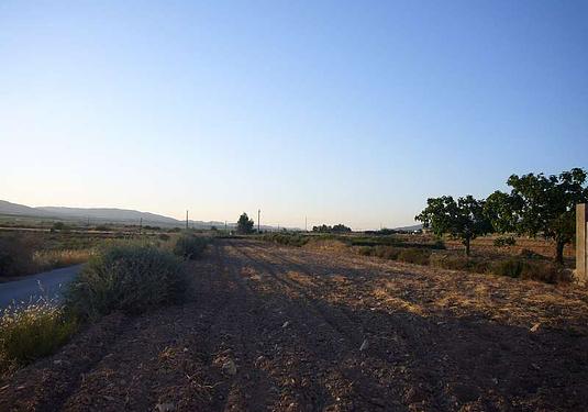 Other in Pinoso