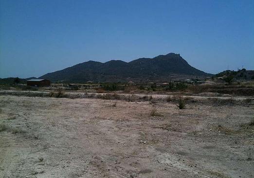 Other in Fortuna