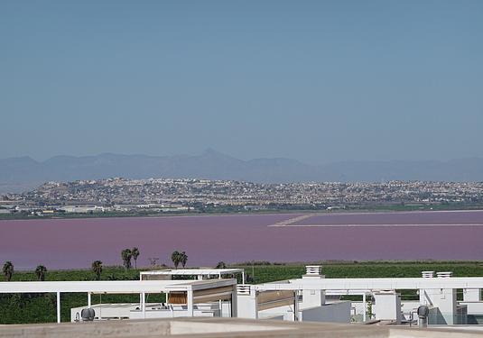 Apartment penthouse in Torrevieja
