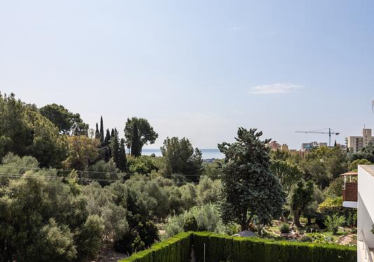 Apartment in Palma de Mallorca