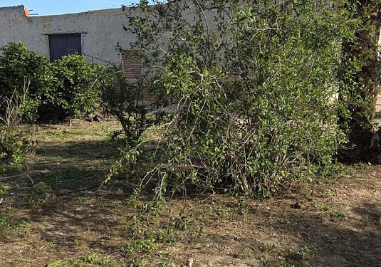 Country house in Albatera