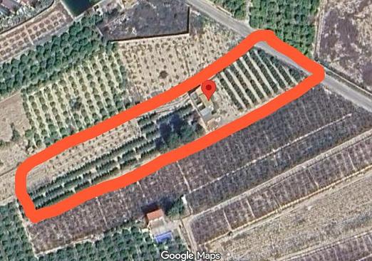 Country house in Albatera