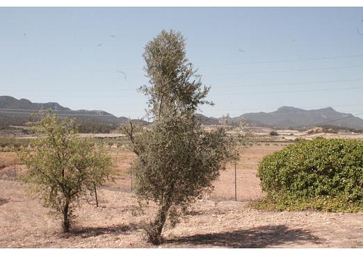 Country house in Torre Del Rico