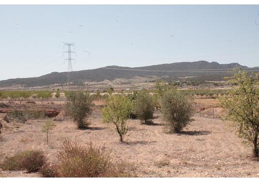 Country house in Torre Del Rico
