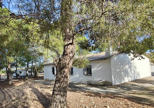 Country house in Yecla