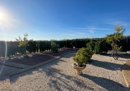 Country house in Crevillent