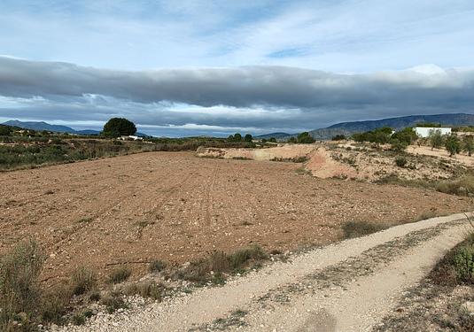 Land in Monóvar/Monóver