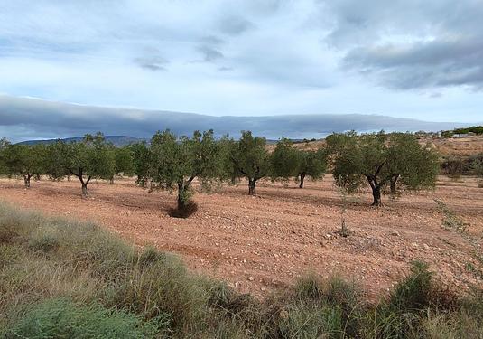 Land in Monóvar/Monóver