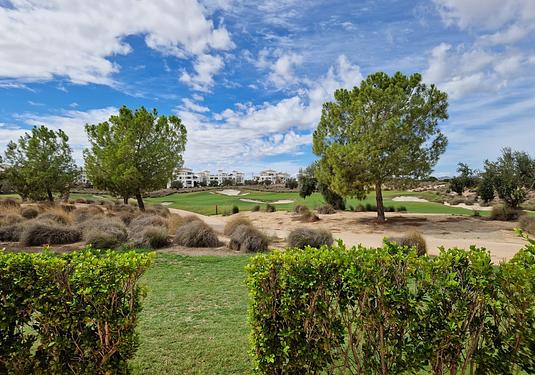 Apartment in Hacienda Riquelme Golf Resort