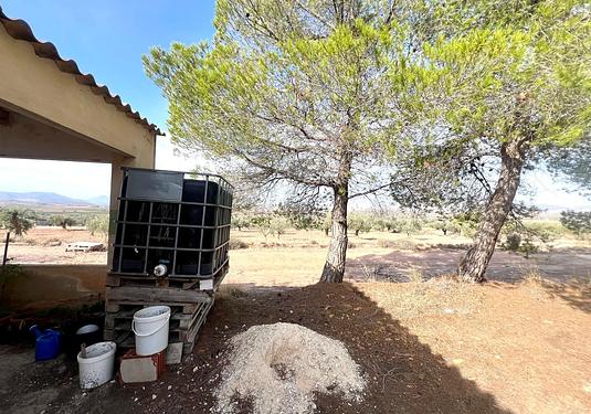 Property in Pinoso