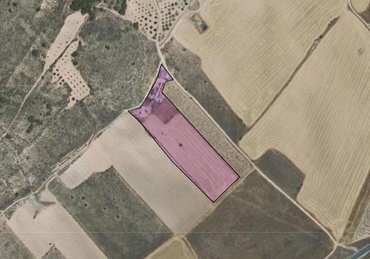 Country house in Yecla
