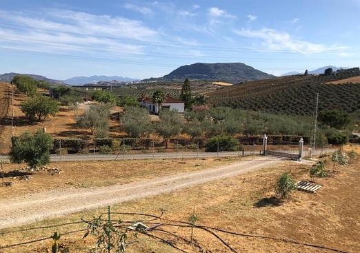 Country house in Alora