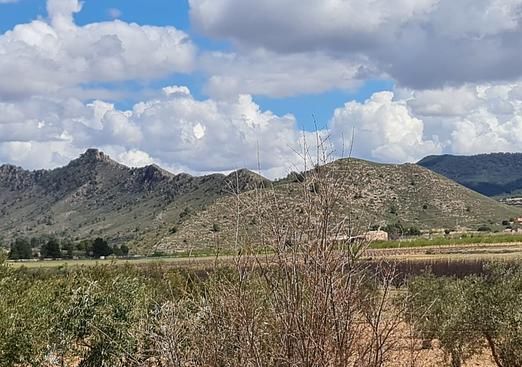 Country house in Yecla