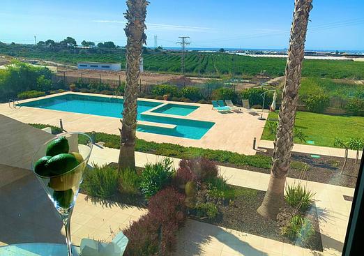 Apartment in Pilar de La Horadada