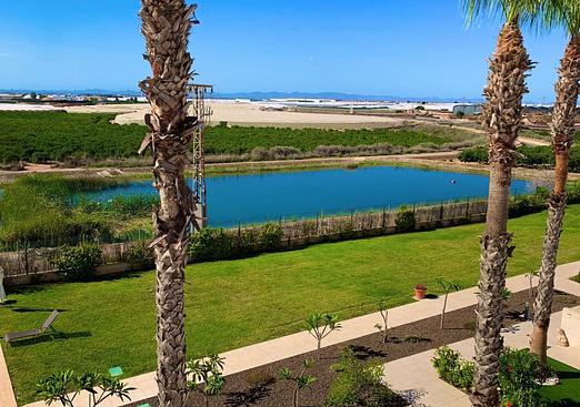 Apartment in Pilar de La Horadada