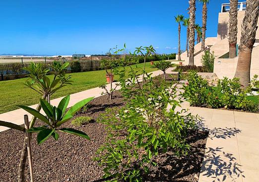 Apartment in Pilar de La Horadada