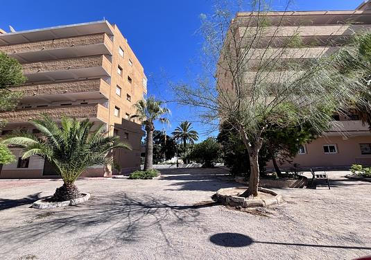 Apartment in La Mata
