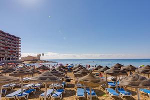 thumb 14