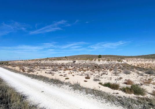 Land in Canada del Trigo
