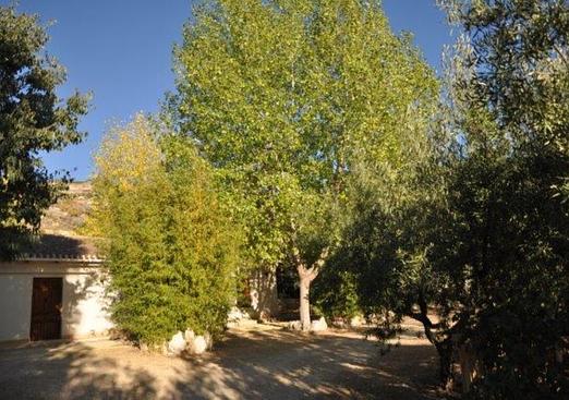 Finca in Torremanzanas