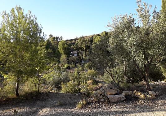 Finca in Torremanzanas