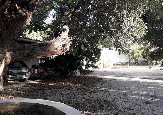 Finca in Torremanzanas