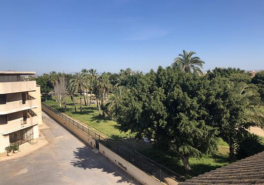 Apartment in Los Alcazares