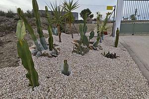 thumb 36