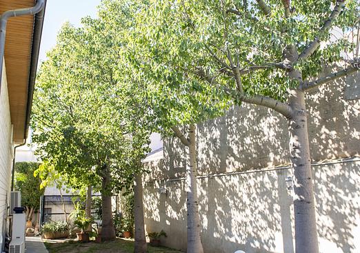 Villa in San Pedro del Pinatar