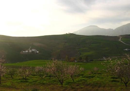 Country house in Valle de Abdalajis