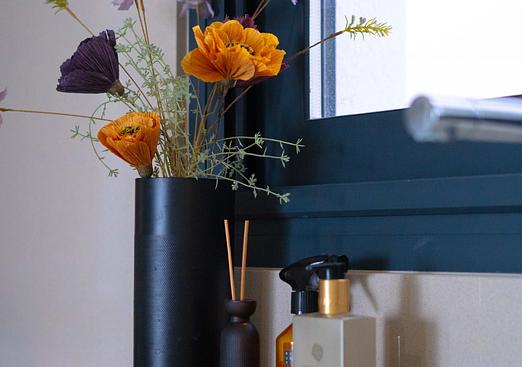 Villa in San Miguel de Salinas