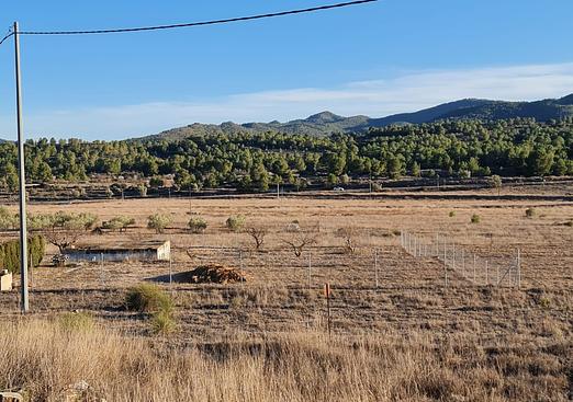 Land in Monóvar/Monóver
