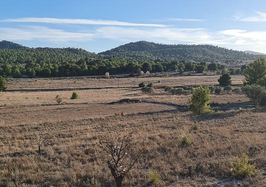 Land in Monóvar/Monóver