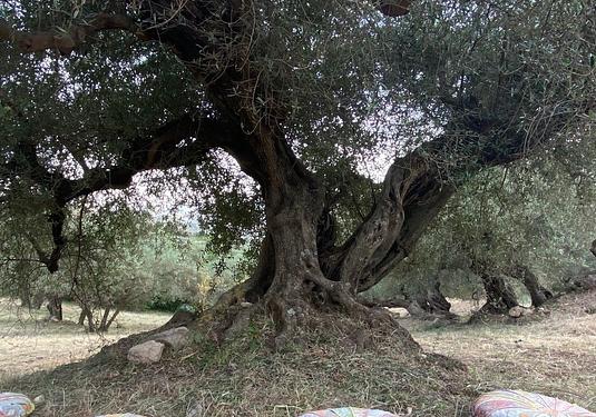 Country house in Periana