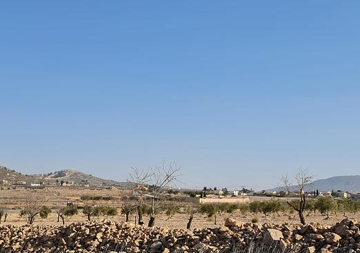 Land in Jumilla