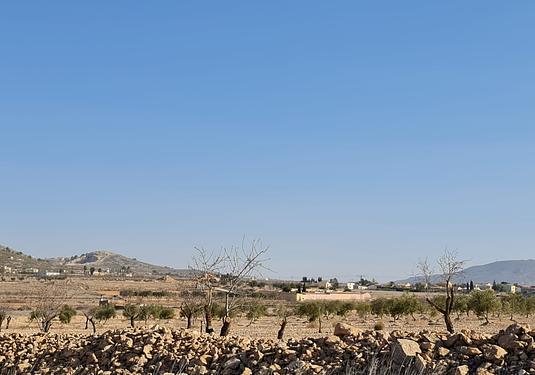 Land in Jumilla
