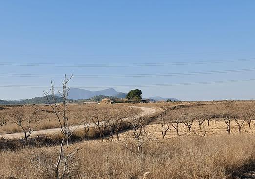 Land in Jumilla