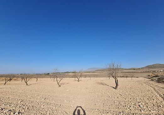 Land in Jumilla