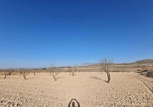Land in Jumilla
